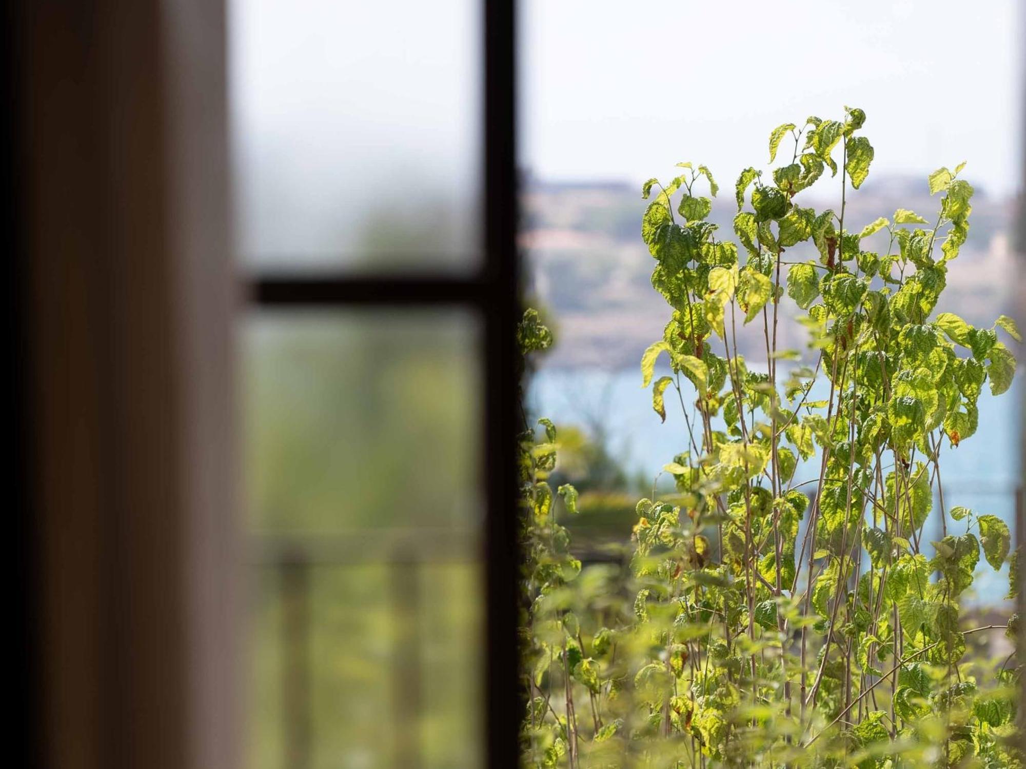 Amalen Suites Adults Only Rethymno  Exterior photo
